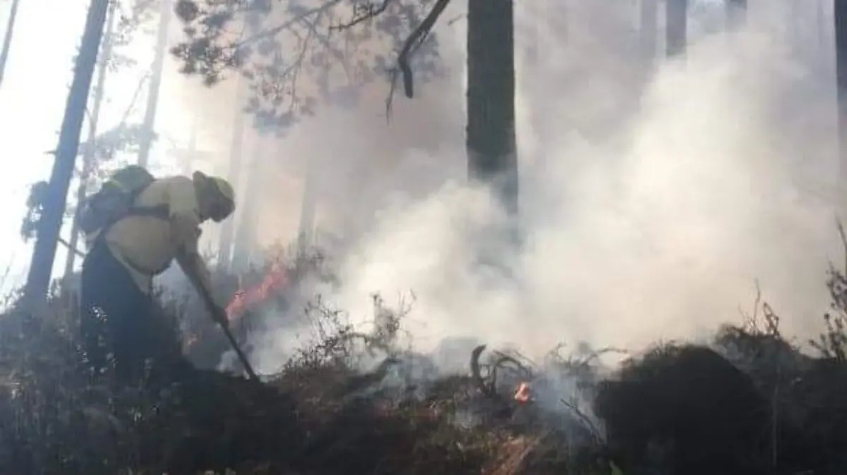 INCENDIO FORESTAL